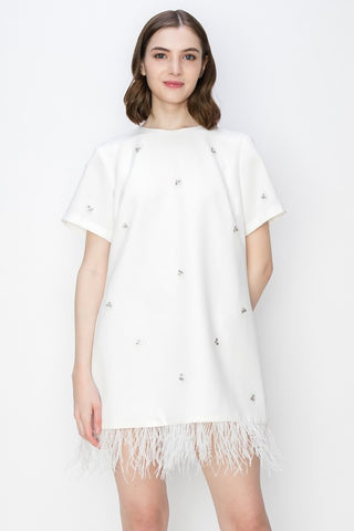 Francesca Jeweled Feather Shift Dress